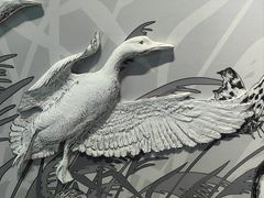 -中国湿地博物馆