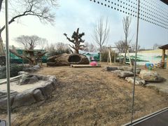 -秦皇岛野生动物园