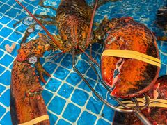 -良师门滨海人家·海鲜·家常菜(滨海城店)