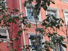 -上海商业会计学校