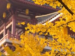 -西北轻工批发市场