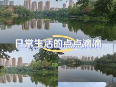 -重庆彩云湖湿地公园