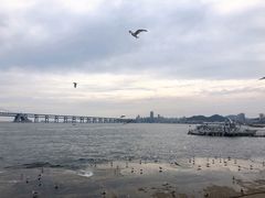 -星海广场