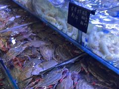 -渔民船说·北塘海鲜·天津菜·海肠捞饭(北塘古镇店)