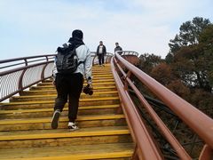 -少华山国家森林公园
