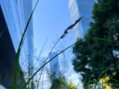 -翠贝卡&Mama Kelly Brunch Coffee(河西店)