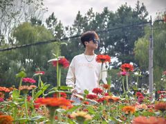 -合肥滨湖国家森林公园