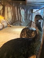 -酷嗒动物文化乐园(cutezoo西溪乐天城店)