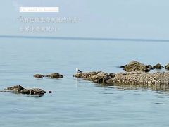-烟台山景区