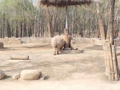 -北京野生动物园