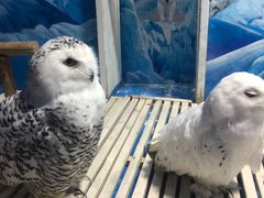 -成都浩海立方海洋公园