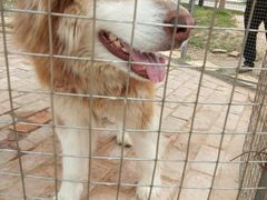 -武汉紫薇都市田园