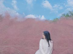 -白鹭湾湿地公园