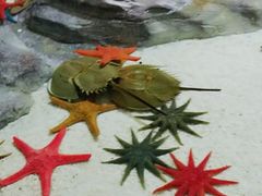 -福州罗源湾海洋世界旅游区