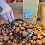 南京超好吃的板栗｜来自秋天的仪式感