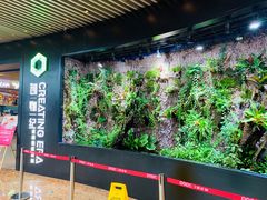 -春天国际影城(中庚漫游城杜比全景声店)