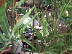 -功夫小龙虾·烧烤·江湖菜(金沙洲店)