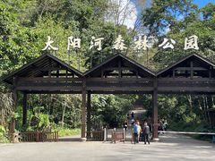 -普洱太阳河森林公园
