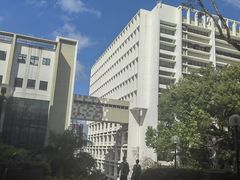 -香港大学