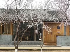 -春风习习