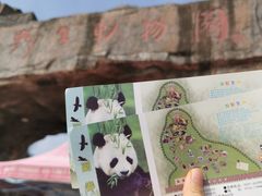 -合肥野生动物园