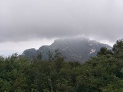 -王顺山国家森林公园