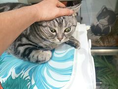 -纳吉亚猫专科动物医院博雅分院