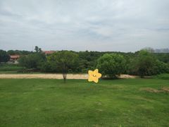 -盘龙城国家考古遗址公园