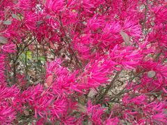 -仙海旅游度假区