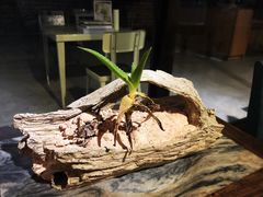 -at cafe 意大利餐厅(集美店)