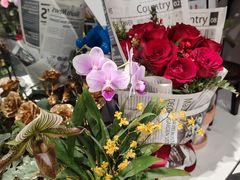 -FEI FEI FLOWER鲜花店·气球派对·宝宝宴布置(虹口德必运动Loft店)