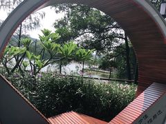 -红花湖景区