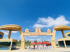 -金塔沙漠胡杨林景区