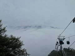-神农山景区