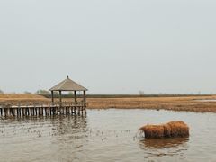 -哈素海