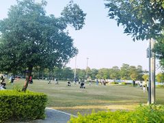 -深圳湾公园(南山区)
