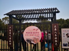 -香雪海