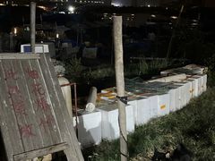 -海门岛七号餐厅