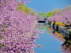 -元大都城垣遗址公园