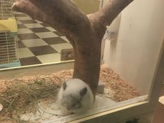 -龙猫仔乐园(惠福东路店)