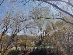 -新江湾城公园
