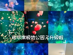 -哈尔滨极地公园
