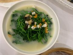 上汤有机时蔬-凯茵庭中餐厅(中山雅居乐长江酒店)