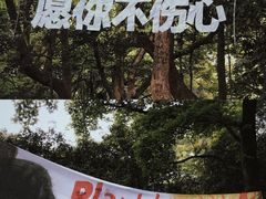 -杭州植物园