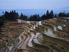 -紫鹊界梯田景区