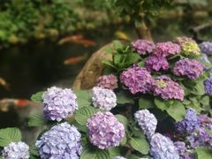 -The Flowers Coffee(南山店)