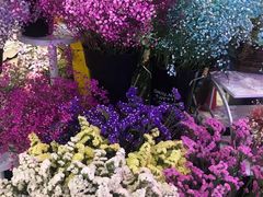 -ChaKo Flora ·茶子花艺 (市北店)
