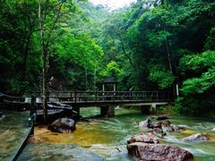 -九龙江国家森林公园