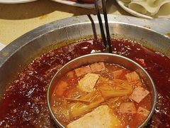 -田鸭肠·非遗火锅(彭州店)