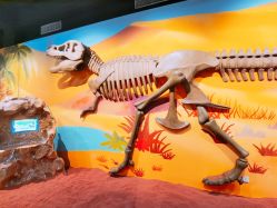 -北京科学中心儿童乐园